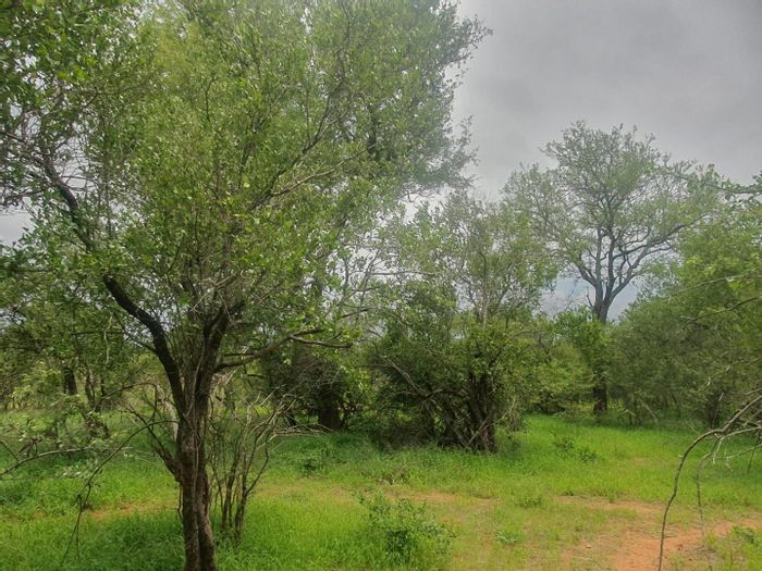 Vacant Land for Sale in Hoedspruit Wildlife Estate with 24-hour security access.