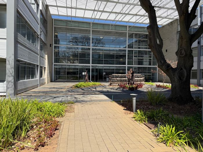 Office Space To Rent in Illovo: 313m², secure park, backup power, great location.