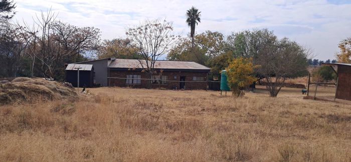 For Sale: 10-hectare farm in Vlakplaats with two houses, livestock potential, and rental income.