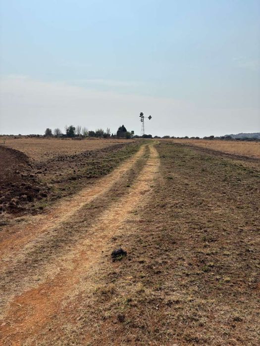 Belfast Central Farm For Sale: 189 ha with borehole, grazing, and arable land.
