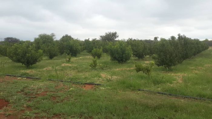 For Sale: Small Holding in Otavi Central with ample land and water access.