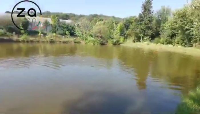 House for Sale in Walkerville Central: 1.94 ha, cottages, aquaculture potential, self-sustaining.