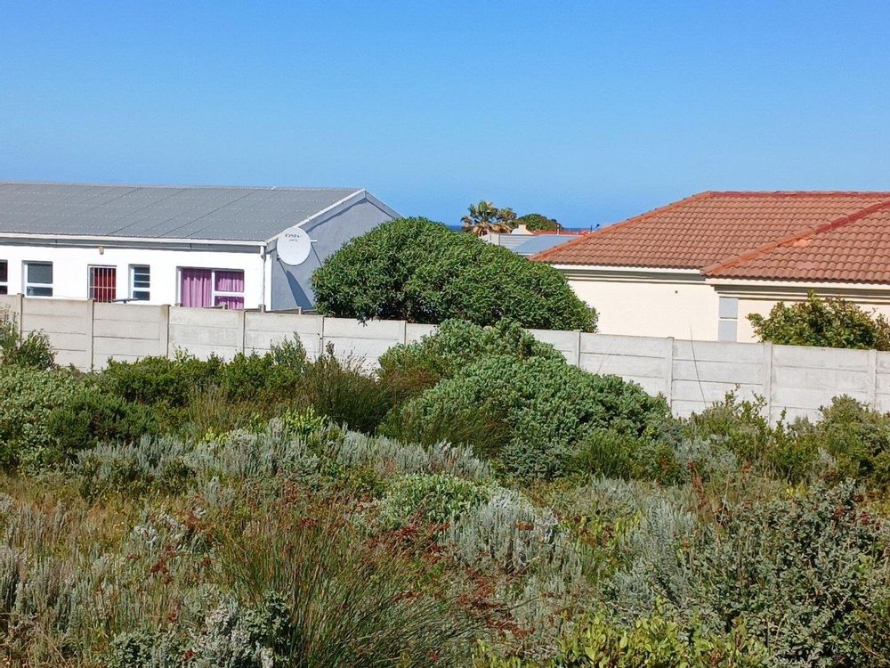 Our Plot - directly in front of us. Bit of Sea View right at the back - in the center of the photo.