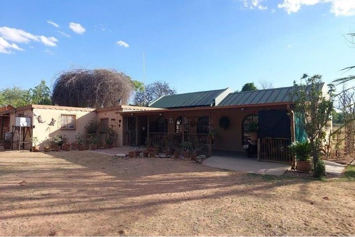 Grootvlei Small Holding For Sale: 2-bed home, borehole, fruit trees, and more.