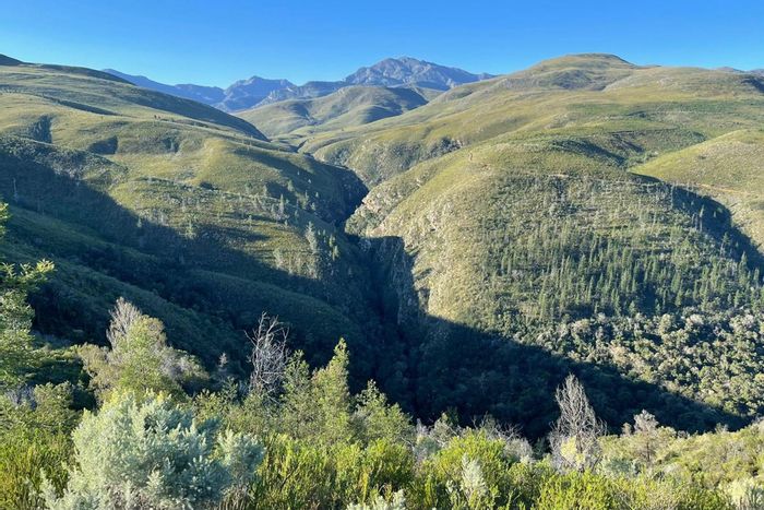 Leeukloof Farm For Sale: 112 hectares, rivers, diverse habitat, wildlife haven.