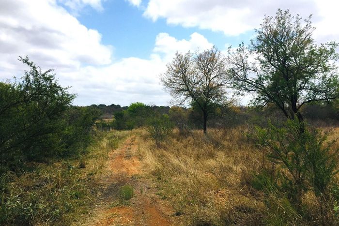 Vacant Land Residential in Hoedspruit Central for Sale: 1.3 ha, subdivided, flexible development options.