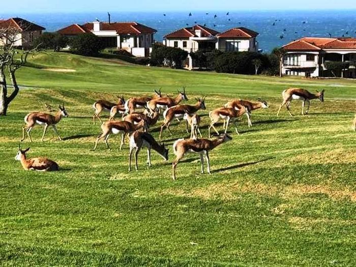 Property #ENT0170540, Vacant Land Residential for sale in Mossel Bay Golf Estate