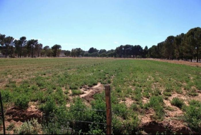 Property #ENT0197380, Vacant Land Residential for sale in Loxton