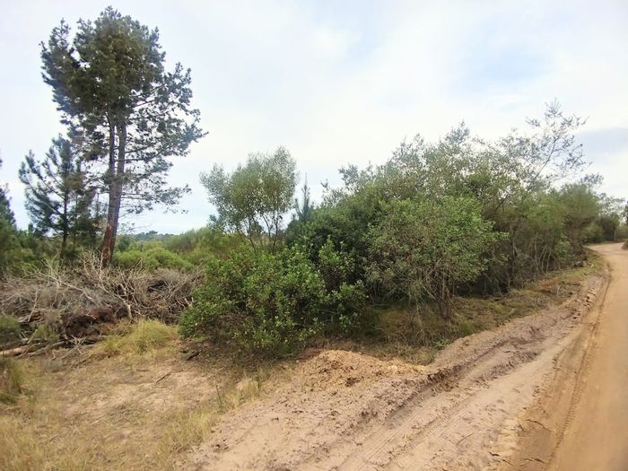 Property #ENT0197967, Small Holding sold in Wilderness