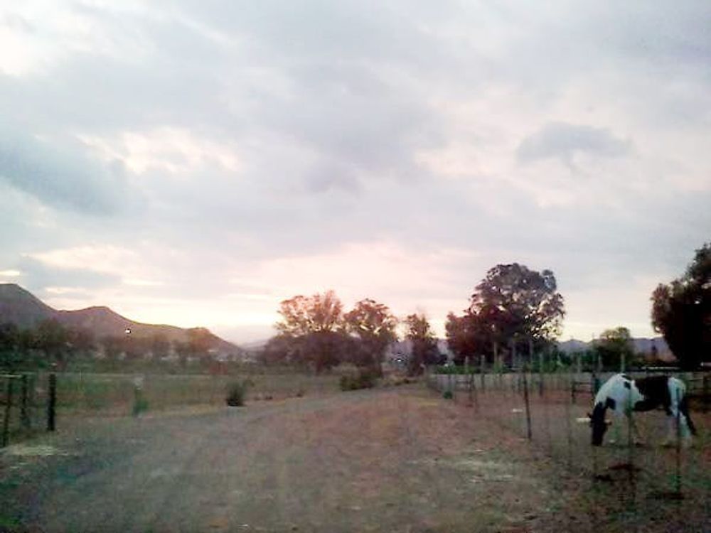 7a61d23d-c9c0-406a-ab73-8fefcb976ad1.jpeg