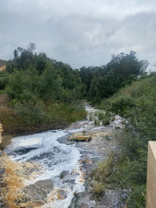 9 HA Farm in George Rural For Sale: Off-grid potential, river access, forested land.