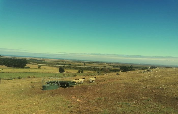 Property #ENT0245895, Farm for sale in Humansdorp