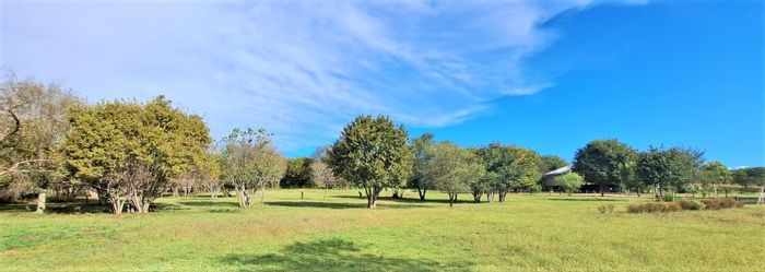 Property #ENT0246981, Vacant Land Residential for sale in Blue Saddle Ranches