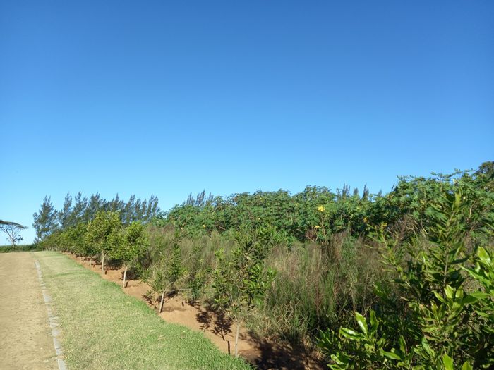 Property #ENT0247477, Vacant Land Residential for sale in Elaleni Coastal Forest Estate