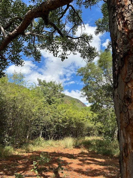Property #ENT0248122, Farm for sale in Thabazimbi Rural