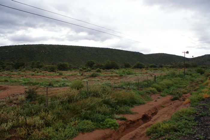 Property #ENT0248734, Small Holding for sale in Ladismith Rural