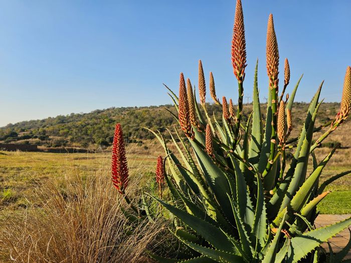 Property #ENT0251518, Vacant Land Residential sold in The Hills Game Reserve Estate