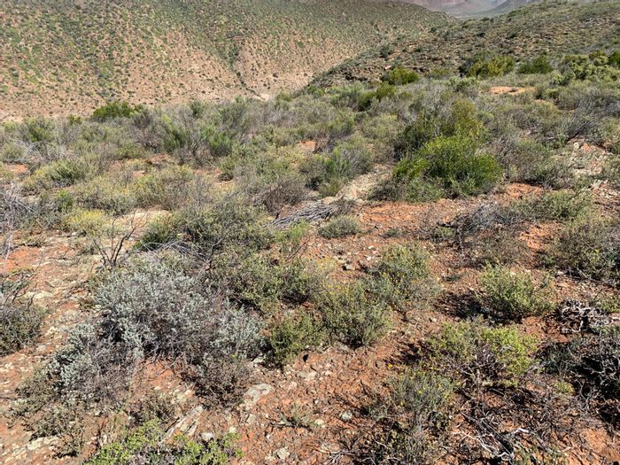 Property #ENT0254494, Farm for sale in Van Wyksdorp