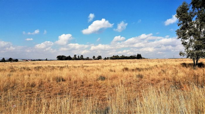 Prime Farm Land for Sale in Witkop Area