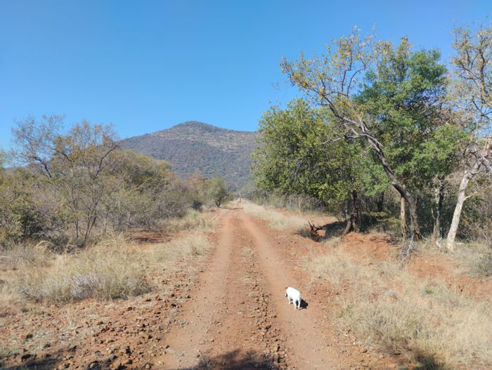 Property #ENT0256146, Vacant Land Residential for sale in Thabazimbi Rural