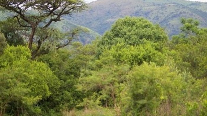 Property #ENT0256249, Vacant Land Residential for sale in Barberton