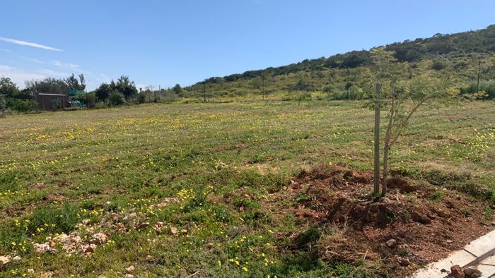 Property #ENT0258484, Vacant Land Residential for sale in Van Wyksdorp