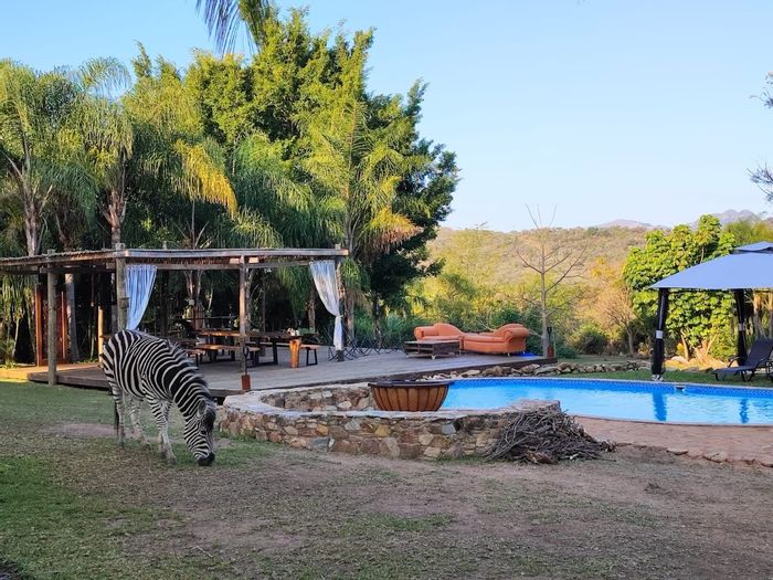 Louws Creek Farm For Sale: Water Rights, Dams, Airbnb Success, Zebras Included!