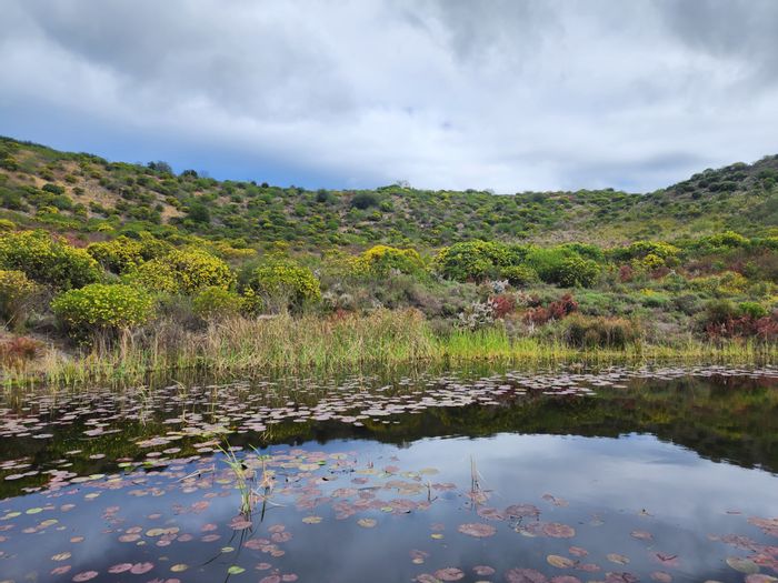 Property #ENT0260137, Vacant Land Residential for sale in Pezula Private Estate