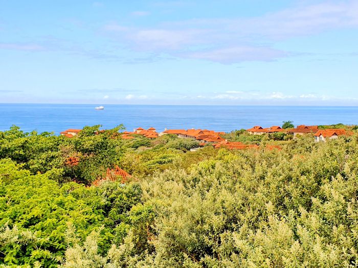 Stunning Vacant Land Residential, For Sale, Zimbali: Distant Sea Views, Northern Aspect