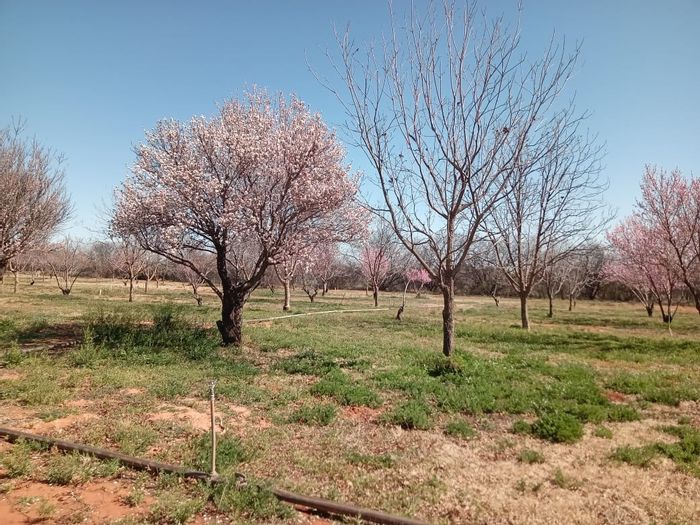 Property #ENT0262579, Vacant Land Residential for sale in Orania