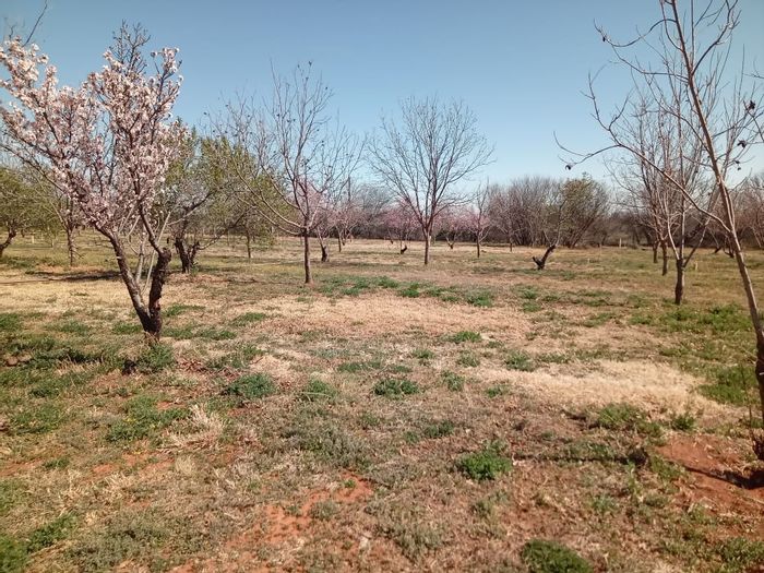 Property #ENT0262600, Vacant Land Residential for sale in Orania