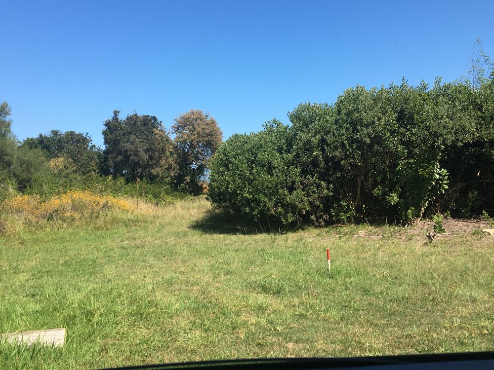 IMG_0605 (2).jpeg
