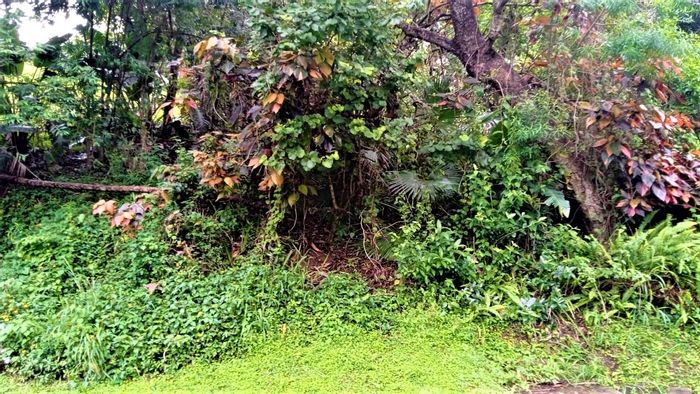 Property #ENT0210900, Vacant Land Residential for sale in Ramsgate