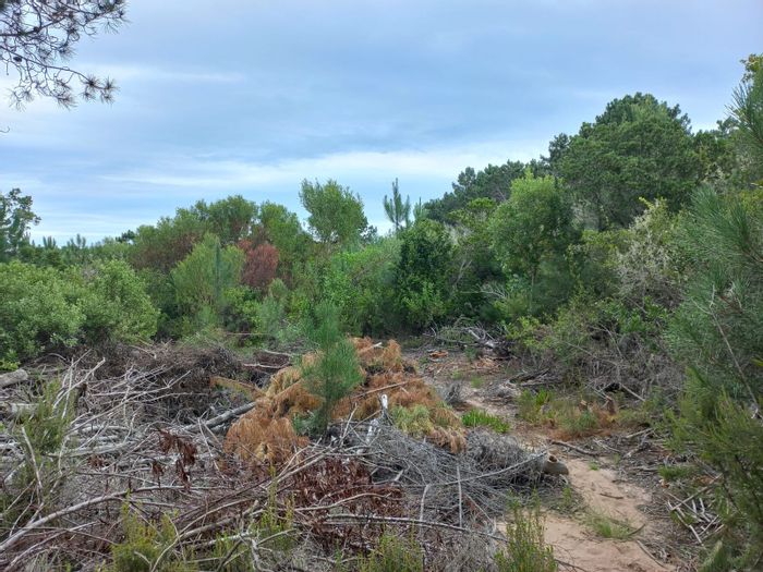 Property #ENT0213224, Small Holding sold in Wilderness