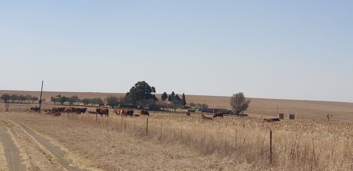 Property #ENT0214031, Farm for sale in Standerton