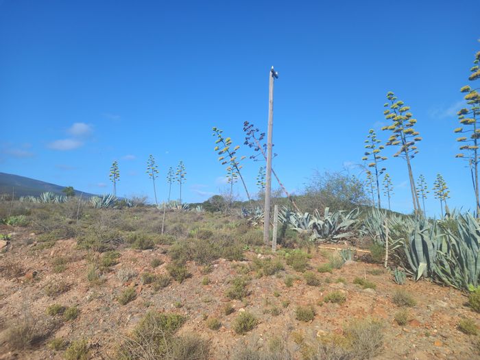 Property #ENT0214141, Small Holding sold in Van Wyksdorp