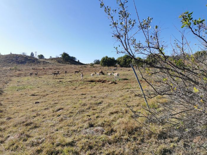 Property #ENT0224843, Vacant Land Residential sold in The Hills Game Reserve Estate