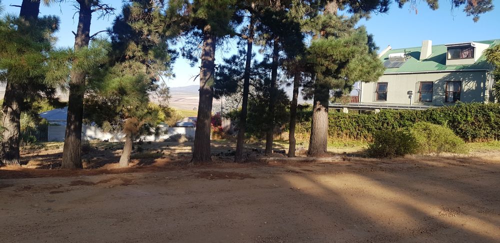 20220501_161440.jpeg