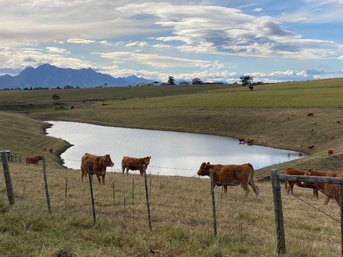 Property #ENT0226388, Farm for sale in George Rural