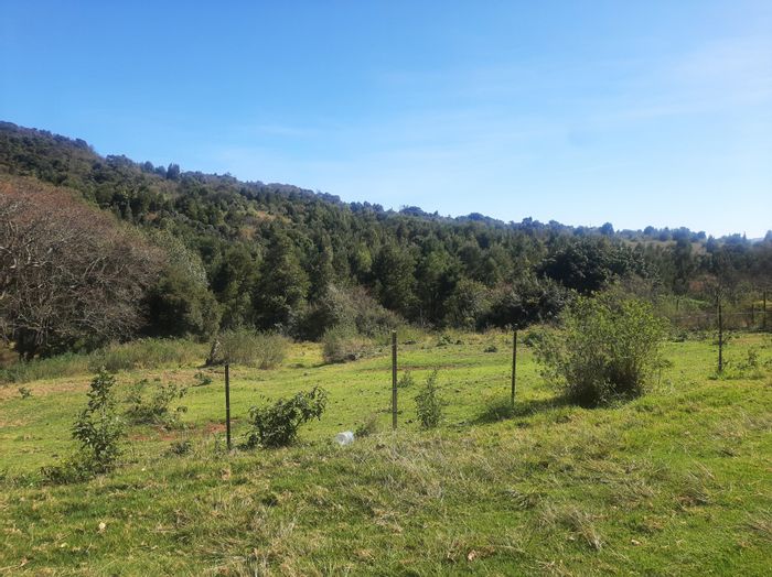 Property #ENT0230737, Farm for sale in Haenertsburg