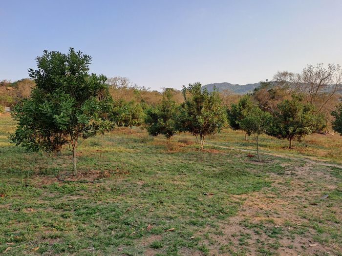 Property #ENT0234290, Farm for sale in Nelspruit Rural