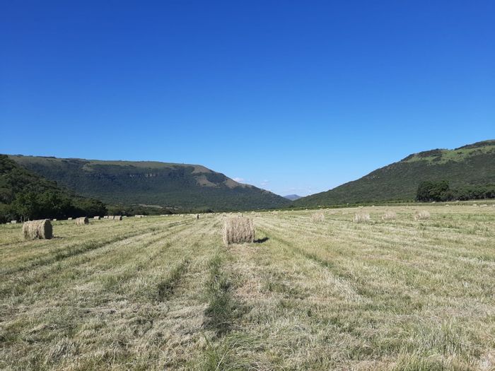 Property #ENT0236567, Farm for sale in Machadodorp