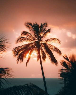 Sales Destination Mauritius photo