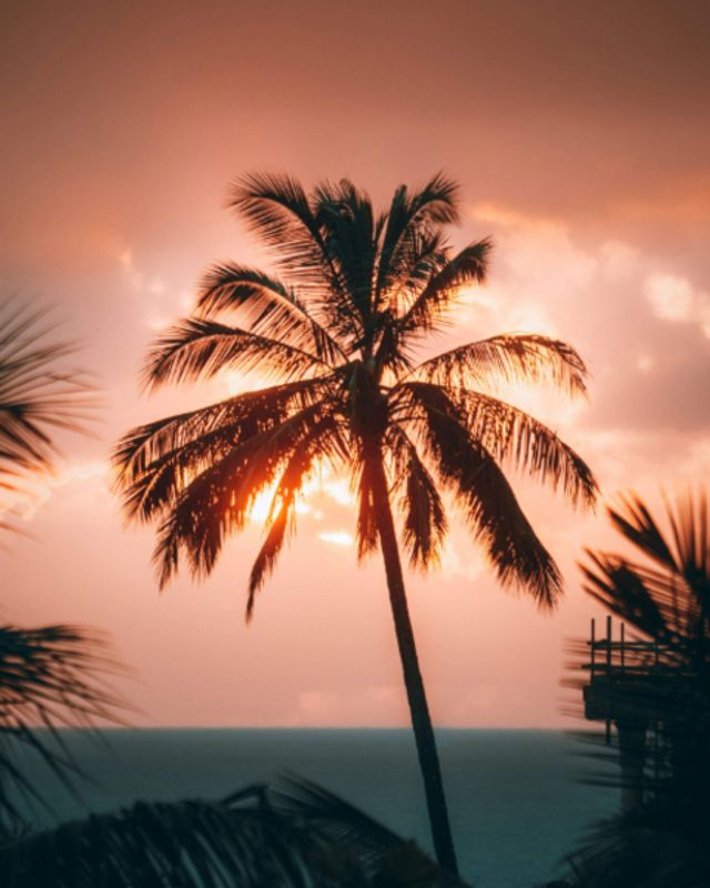 Properties Destination Mauritius photo