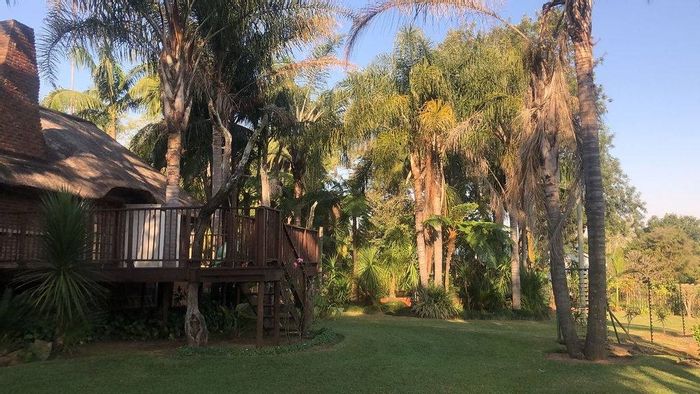 For Sale: Macadamia & Citrus Farm in White River Central, 5 beds, export-certified.