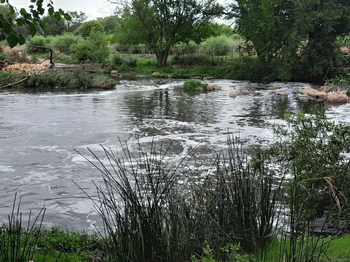 For Sale: Pretoria North Small Holding with 300 Pecan Trees, 2 Houses, Irrigation.