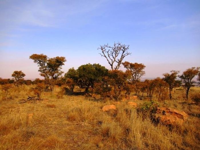 Vacant Land Residential For Sale in Cullinan Central: 22 HA with arable land.