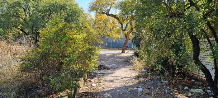 Vacant Land Residential in Hatfield For Sale: 1276m2, re-zoned for office use.