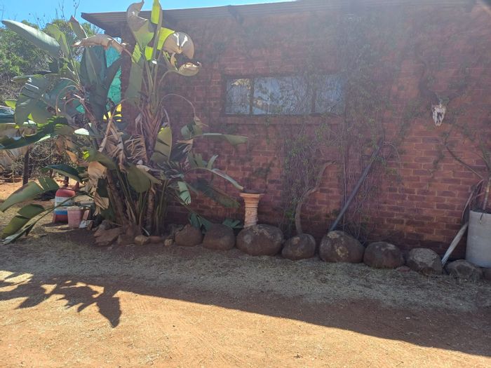 79 Hectare Farm in Ana AH For Sale: Boreholes, dam, and natural spring.