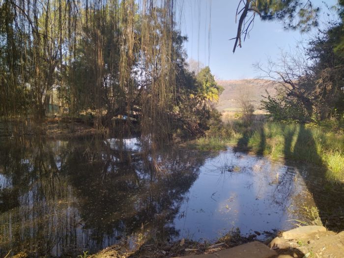 Magaliesburg Farm For Sale: Income potential, irrigation, multiple accommodations, scenic views.